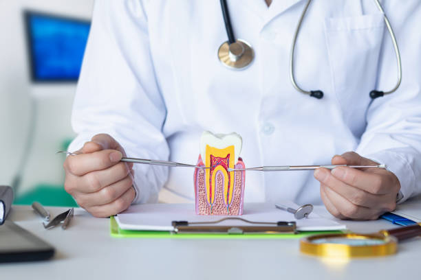 Best Emergency Broken Tooth Repair in Faison, NC